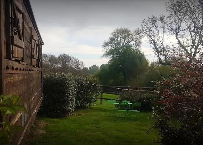 A Sur - 20 M² Avec Balcon Jardin, *